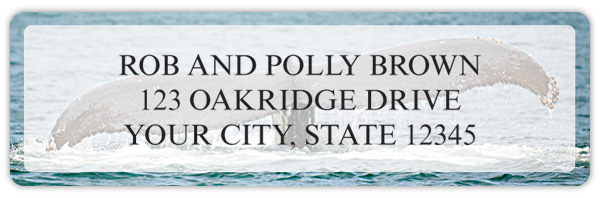 Whale Tails Address Labels