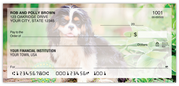 Cavalier King Charles Spaniel Checks