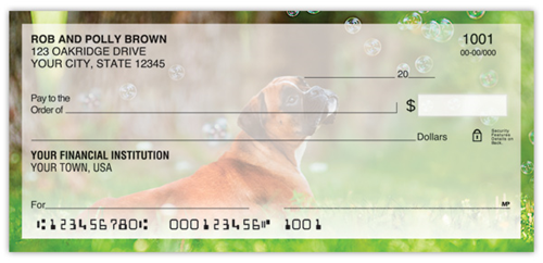 Boxer Checks