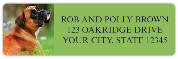 Boxer Address Labels