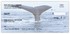 Whale Tails Checks Image 4
